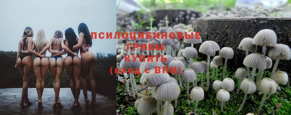 твердый Михайловск