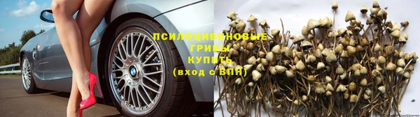 амф Медногорск
