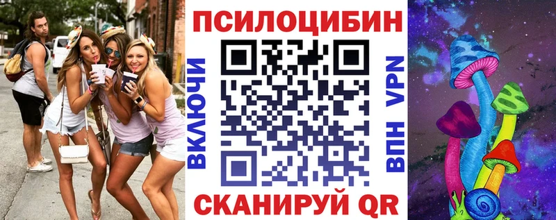 Псилоцибиновые грибы Psilocybine cubensis  Купить закладки  Шарья 